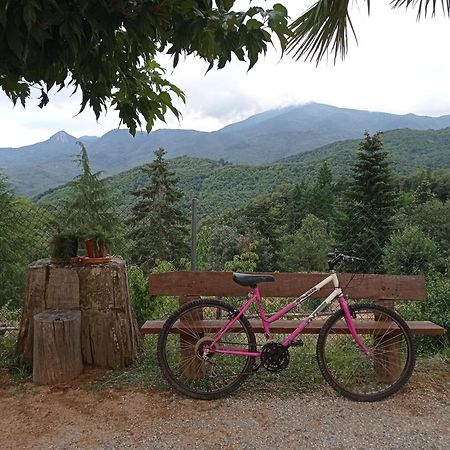 Apartamento En Pleno Montseny Mas Romeu Turisme Rural Arbucies Bagian luar foto