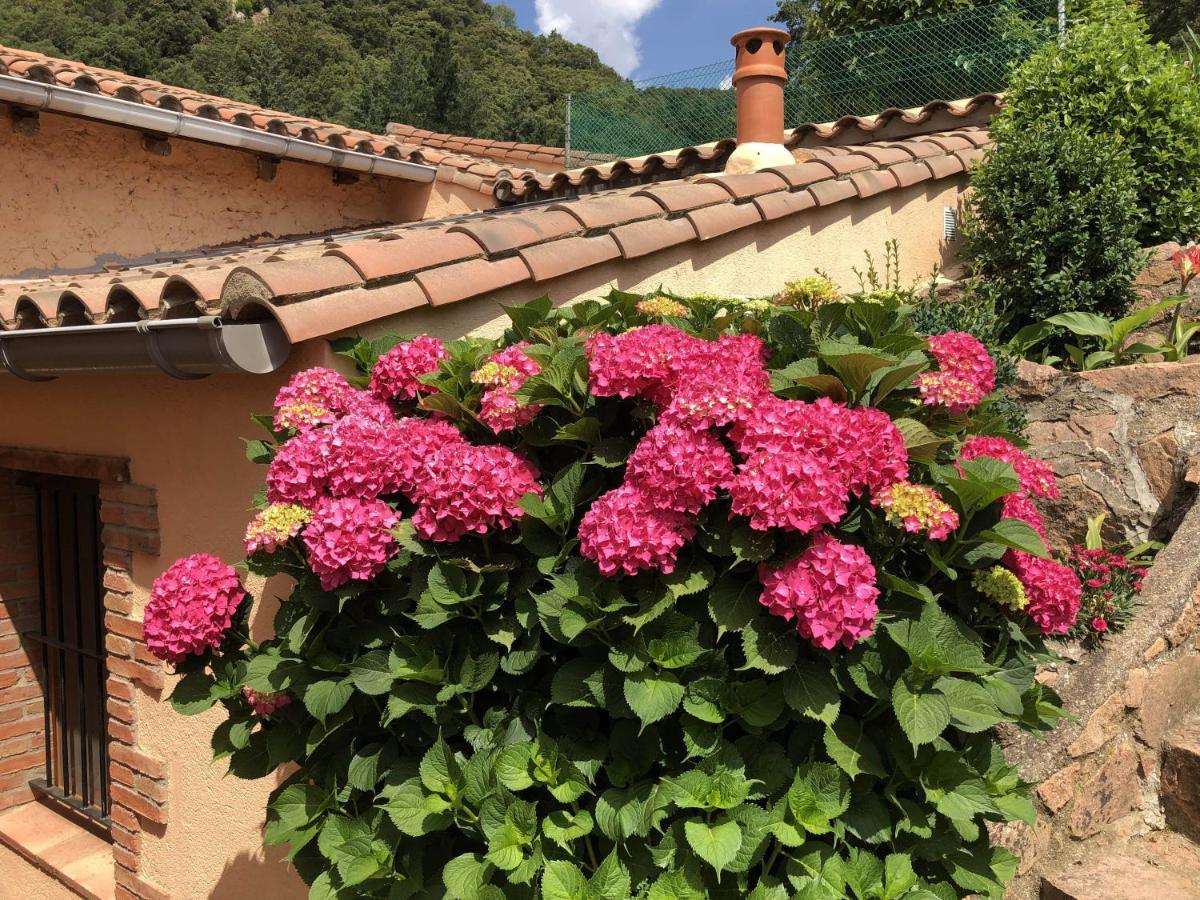 Apartamento En Pleno Montseny Mas Romeu Turisme Rural Arbucies Bagian luar foto