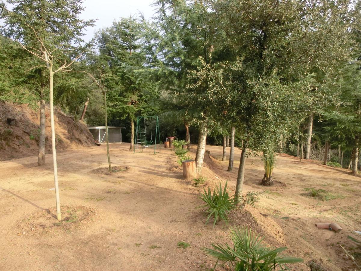 Apartamento En Pleno Montseny Mas Romeu Turisme Rural Arbucies Bagian luar foto