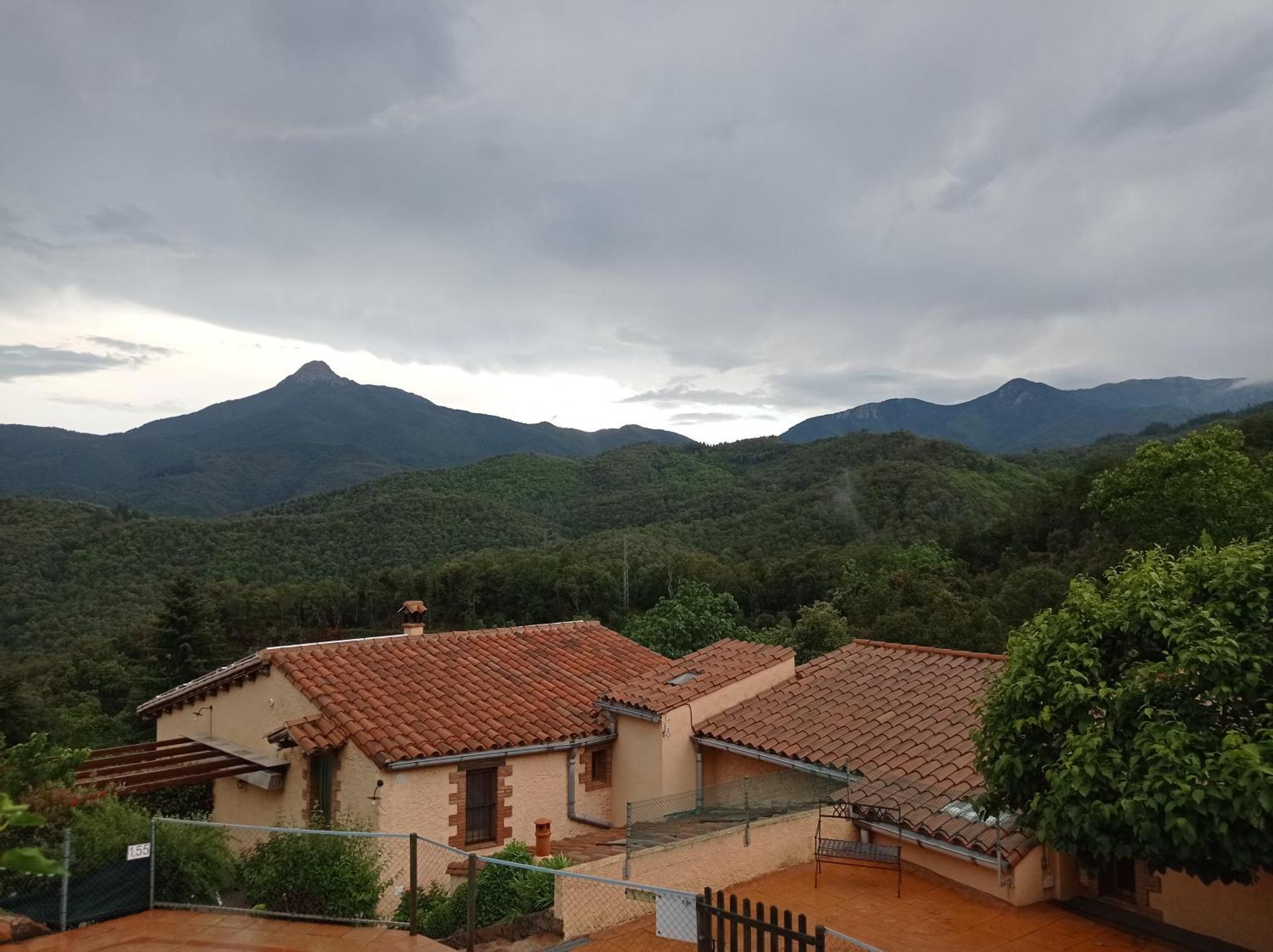 Apartamento En Pleno Montseny Mas Romeu Turisme Rural Arbucies Bagian luar foto