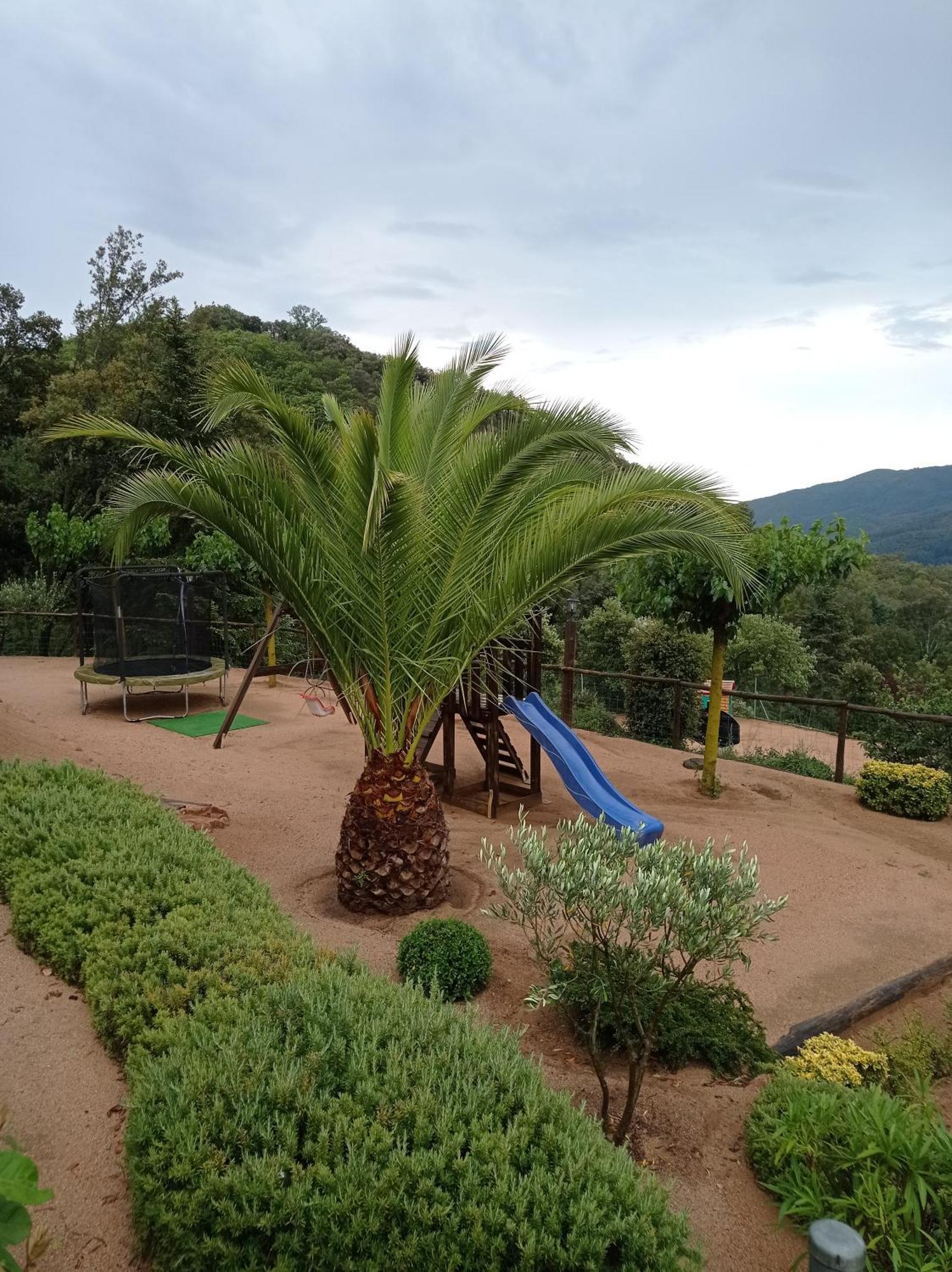 Apartamento En Pleno Montseny Mas Romeu Turisme Rural Arbucies Bagian luar foto